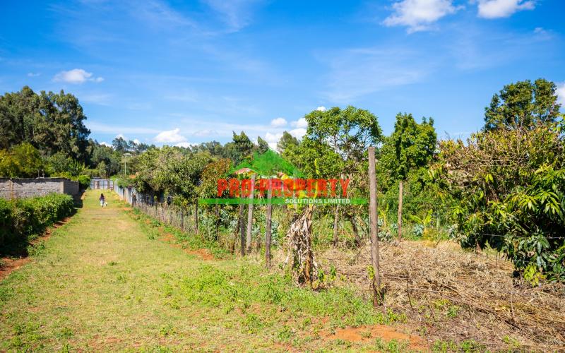 Prime Residential Plot For Sale In Kikuyu, Migumoini