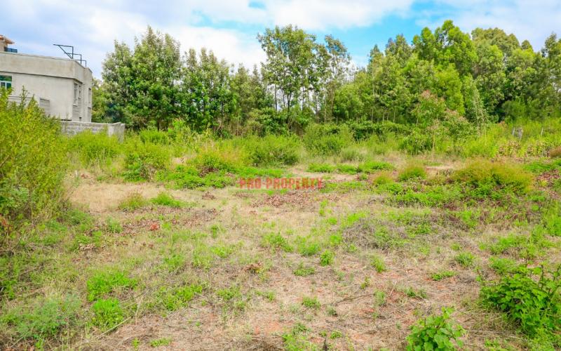 Prime Residential Plots For Sale In Kikuyu, Lusigetti