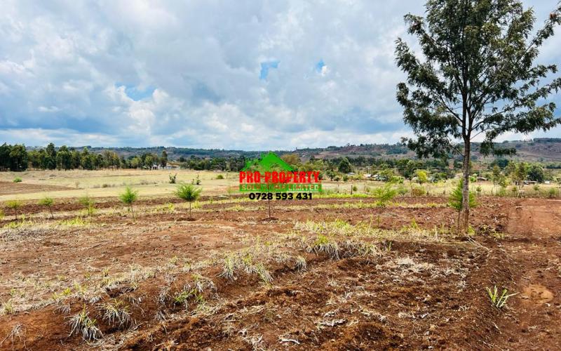 Residential Plots For Sale In Kamangu, Thigio.