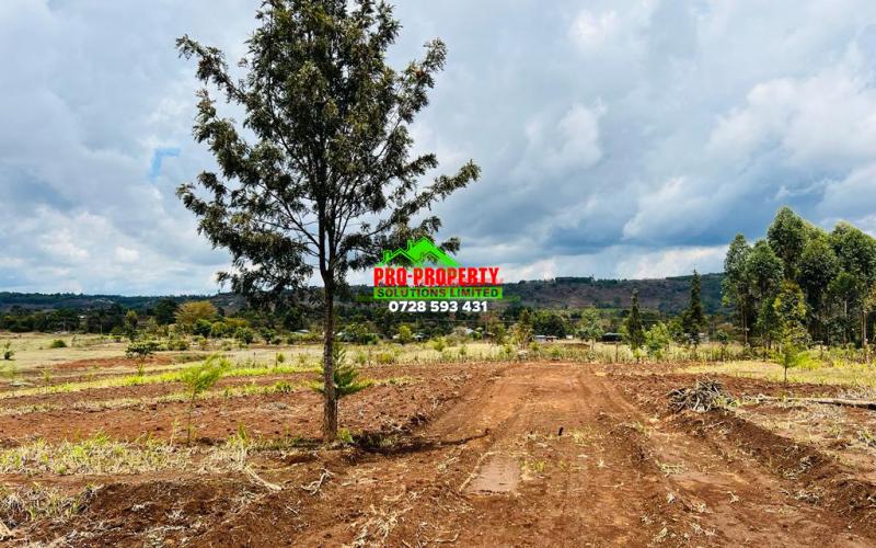 Residential Plots For Sale In Kamangu, Thigio.