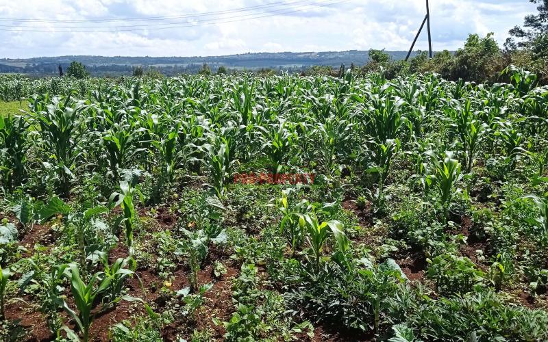 Prime Residential Plot For Sale In Kikuyu, Kiambaa.