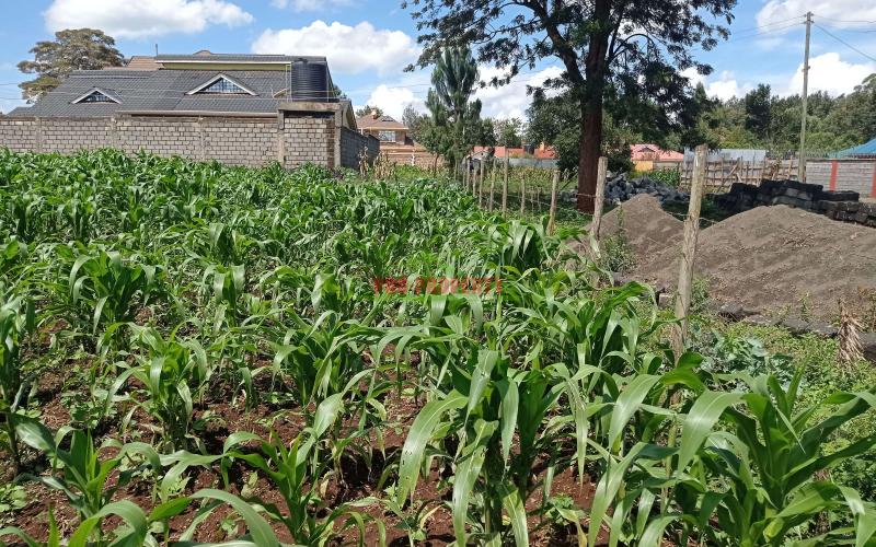 Prime Residential Plot For Sale In Kikuyu, Kiambaa.