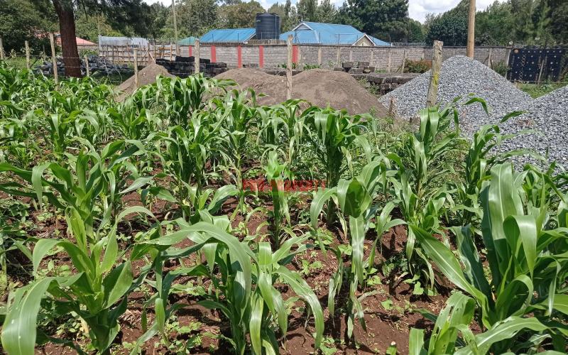 Prime Residential Plot For Sale In Kikuyu, Kiambaa.