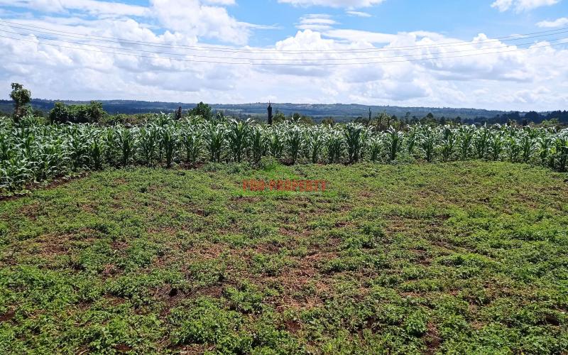 Prime Residential Plot For Sale In Kikuyu, Kiambaa.