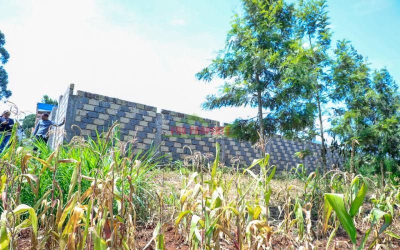 Prime Residential Plot For Sale In Kikuyu, Thamanda