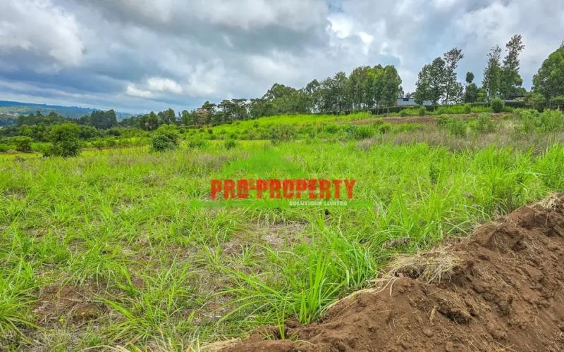 Prime Residential Plots for Sale in Kikuyu Gikambura - With Ready Title Deed