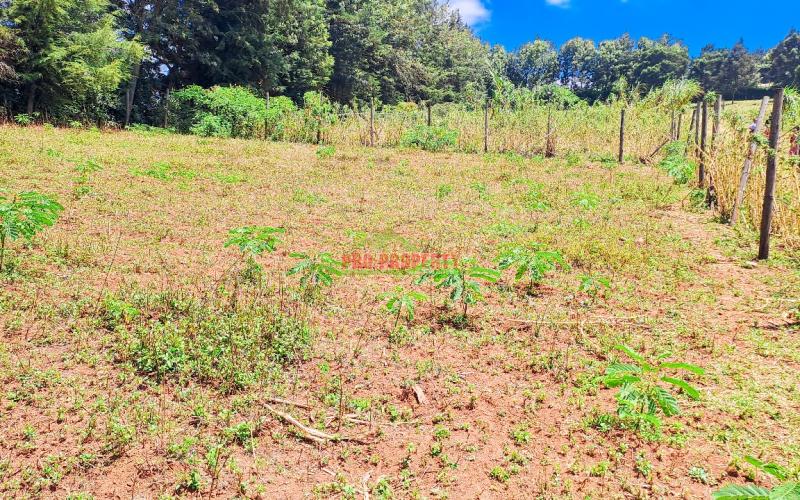 Prime Residential Plots For Sale In Kikuyu, Ondiri In A Gated Community Concept