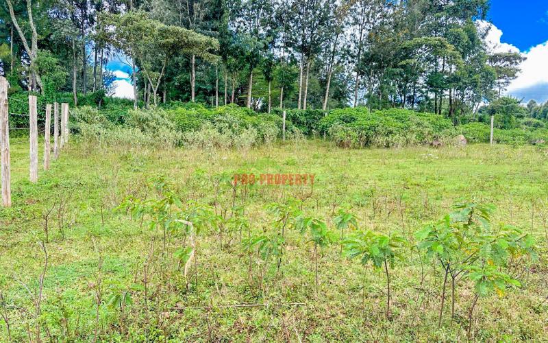 Prime Residential Plot For Sale In Kikuyu, Gikambura (rio-nderi Area).