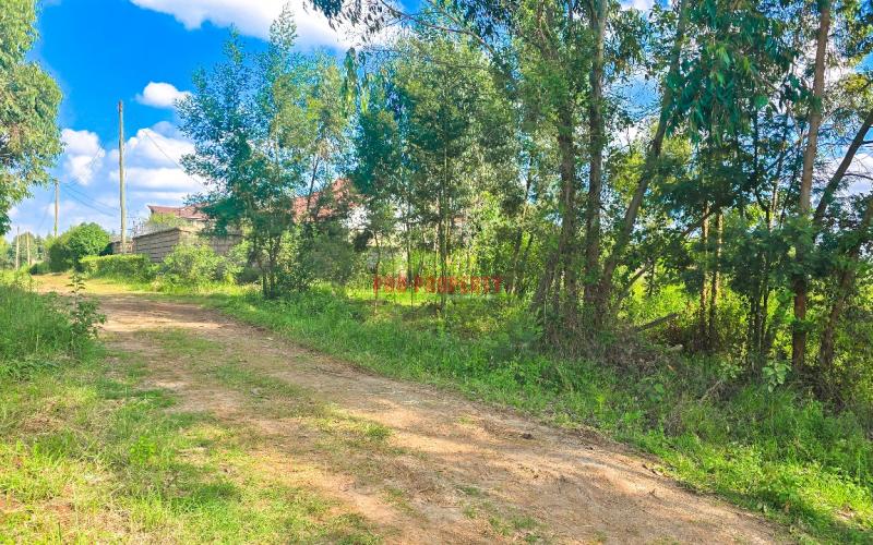 Prime Residential Plots For Sale In Kikuyu, Gikambura.