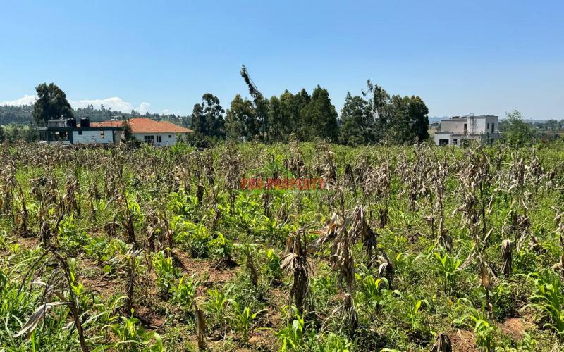 Prime Residential Plot For Sale In Kikuyu,kamangu