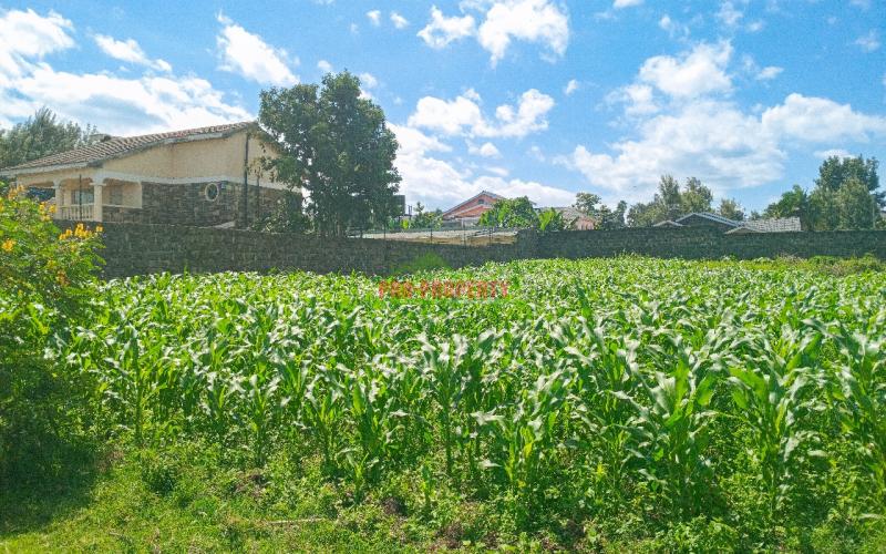 1/4 Acre Residential Plot For Sale in Olive Inn Estate, Nakuru, Kiamunyi.