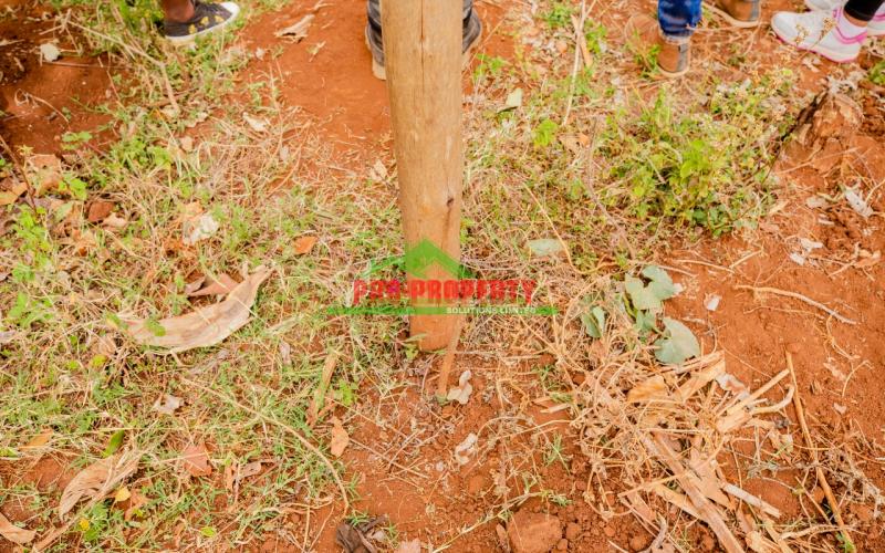 Prime Residential Plots For Sale In Kikuyu, Gikambura - Jambu Tv.