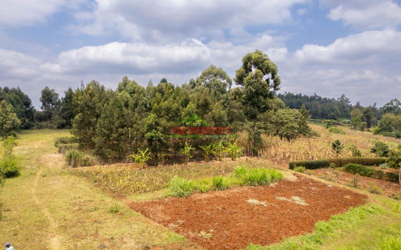 Prime Residential Plot For Sale In Kikuyu, Gikambura - Jambu Tv.