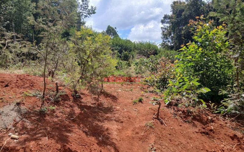 Prime  50 By 100ft Plot  For Sale In Kikuyu-near The Southern Bypass