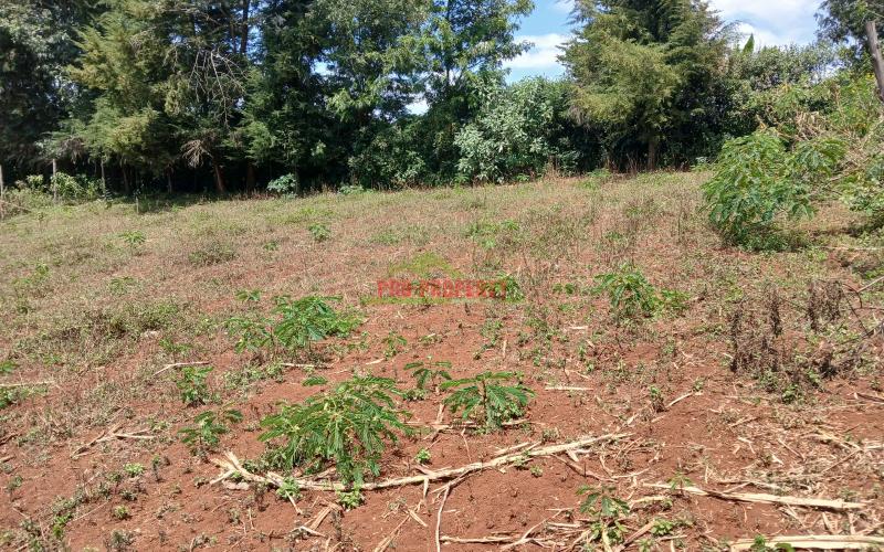 Prime 50 By 100ft Residential Plot  For Sale In Kikuyu,ondiri