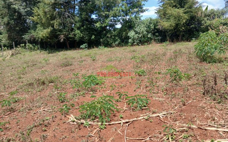 Prime 50 By 100ft Residential Plot  For Sale In Kikuyu,ondiri