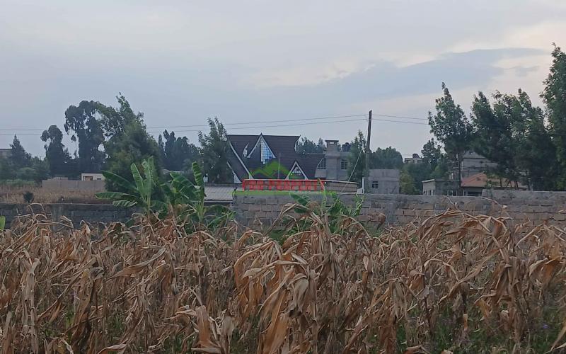 100 By 100ft Residential Plot For Sale In Kikuyu,gikambura