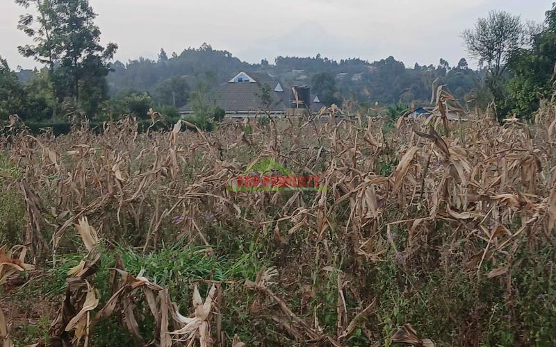 100 By 100ft Residential Plot For Sale In Kikuyu,gikambura