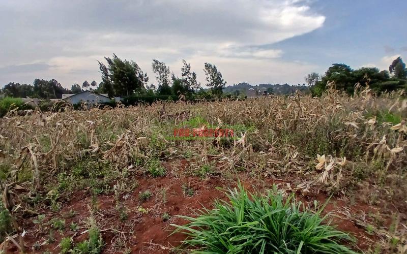 100 By 100ft Residential Plot For Sale In Kikuyu,gikambura