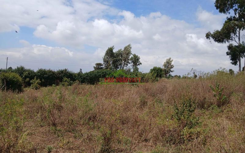 PRIME 50 BY 100ft for sale in Kikuyu,lusigetti