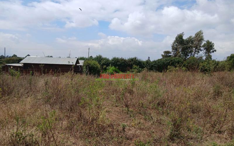 Prime 50 By 100ft For Sale In Kikuyu,lusigetti