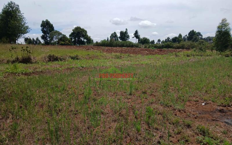 Prime 50 By 100ft Residential Plots For Sale In Kikuyu,thigio