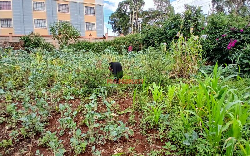 50 By 100ft Commercial Plot For Sale  In Kikuyu,thogoto