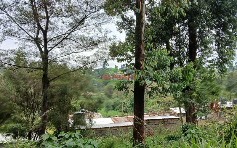 Prime  40 By 60   Commercial Plot For Sale In Kikuyu,gitaru