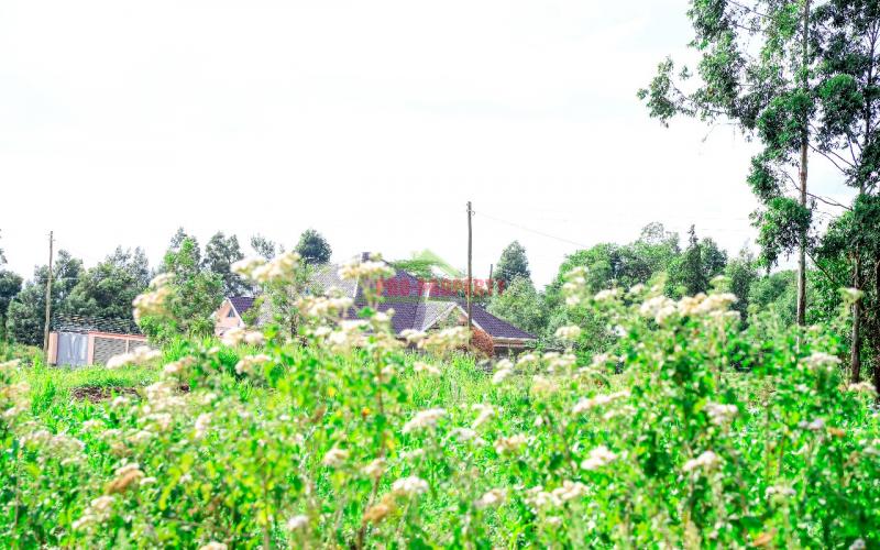 Prime Residential Plot For Sale In Kikuyu, Kamangu
