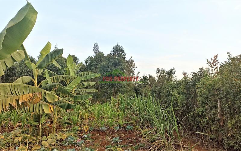 Residential 50 By 100ft For Sale In Kamangu, Migumo-ini