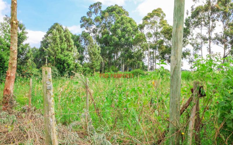 Prime Residential Plot Touching Tarmac For Sale In Kikuyu, Kamangu.
