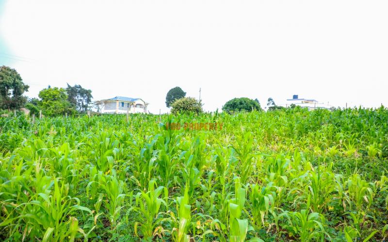 Prime Residential Plot For Sale In Kikuyu, Kamangu.