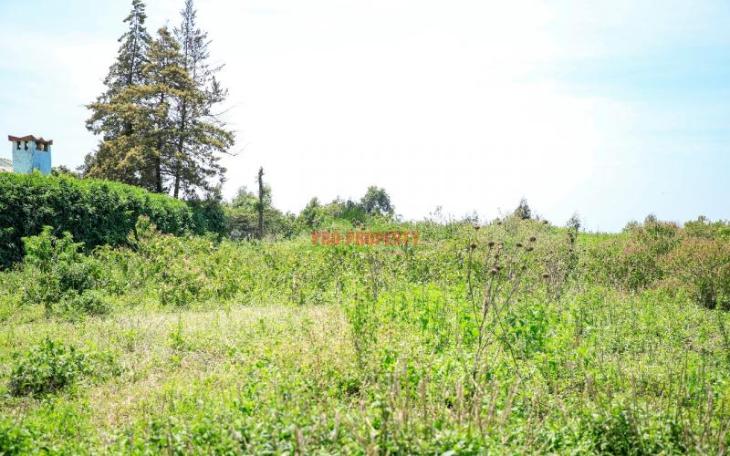 Prime Residential Plots For Sale In Kikuyu, Kamangu (valley View)
