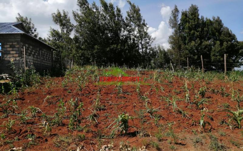 Prime Plot For Sale In Kikuyu, Kamangu.