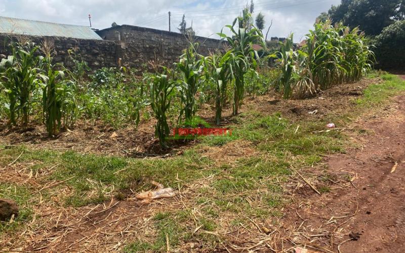 Commercial Plot For Sale In Kinoo