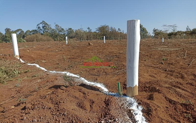 Residential Plots For Sale In Kamangu (gated Community Concept)