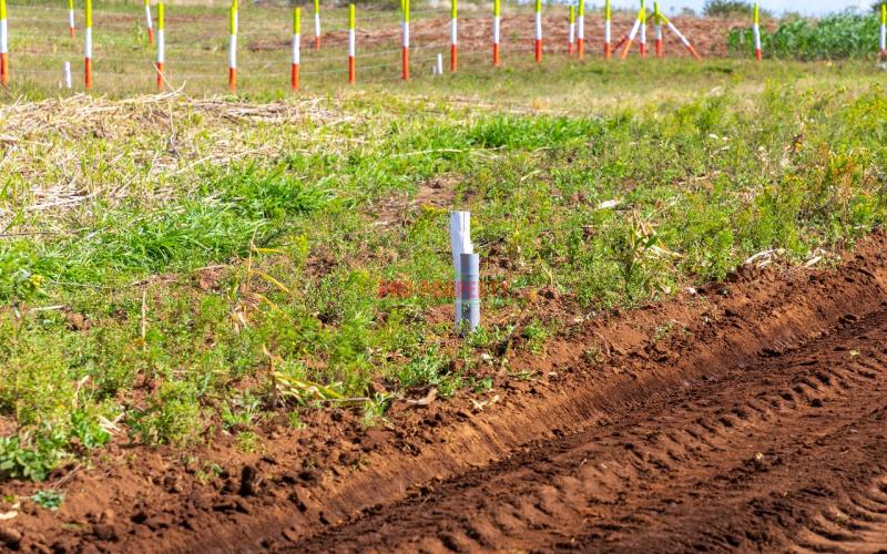 Residential Serviced Plots For Sale In Kikuyu, Nachu (gated Community Concept).