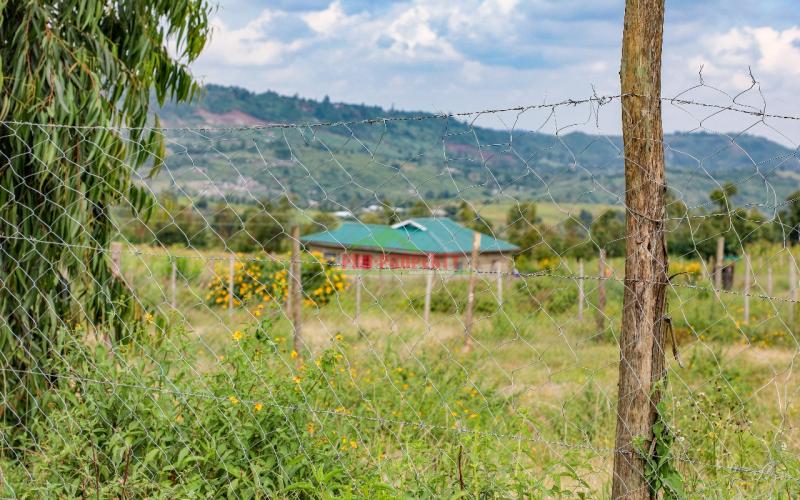 Prime Residential Plot For Sale In Kikuyu, Nachu.