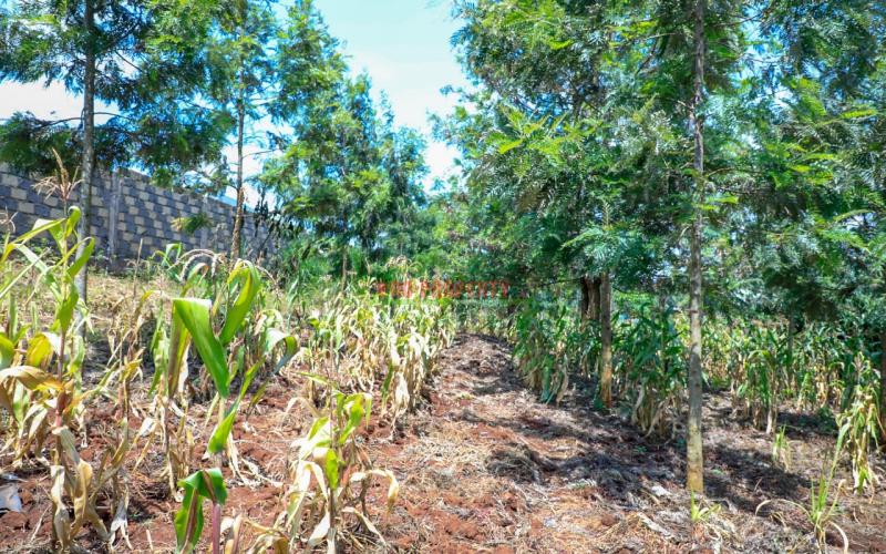 Prime Residential Plot For Sale Kikuyu, Thamanda