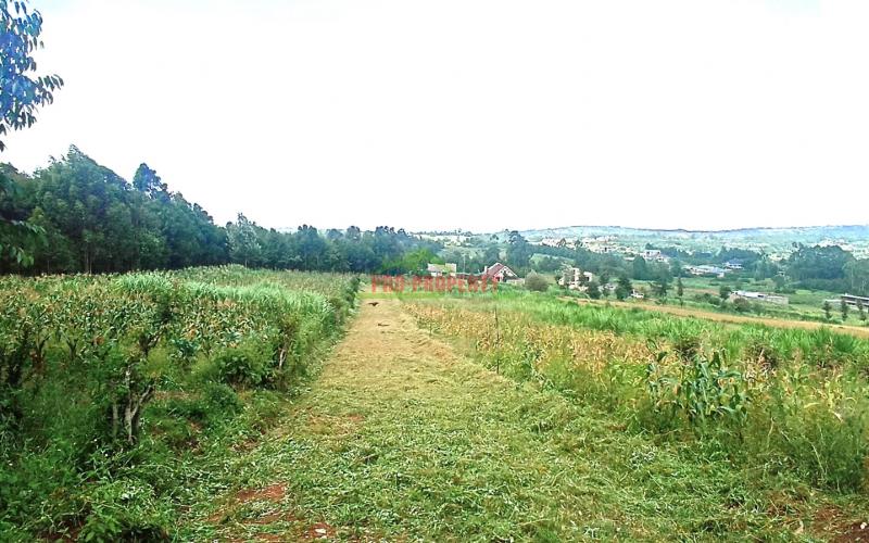Residential Plots For Sale In Kikuyu, Gikambura.