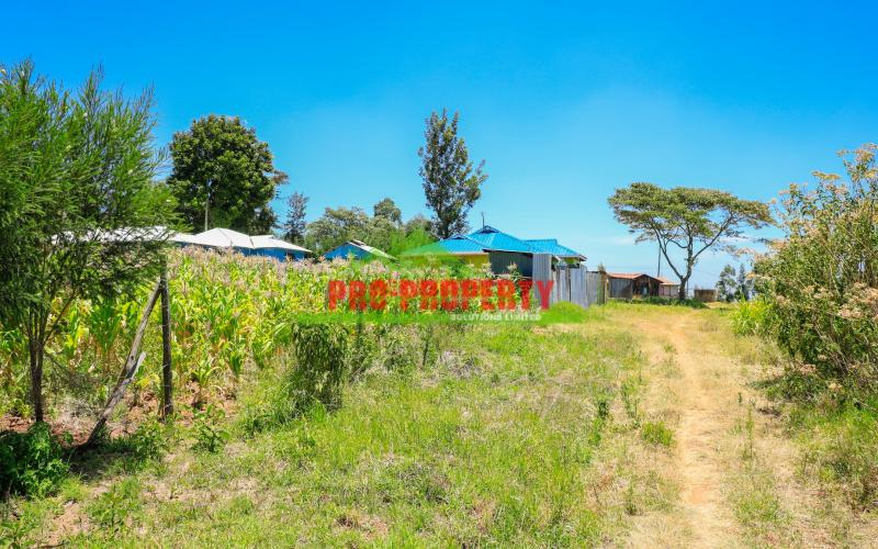 Explore 50 X 100 Ft  Prime Residential Plots For Sale In Kikuyu, Kamangu