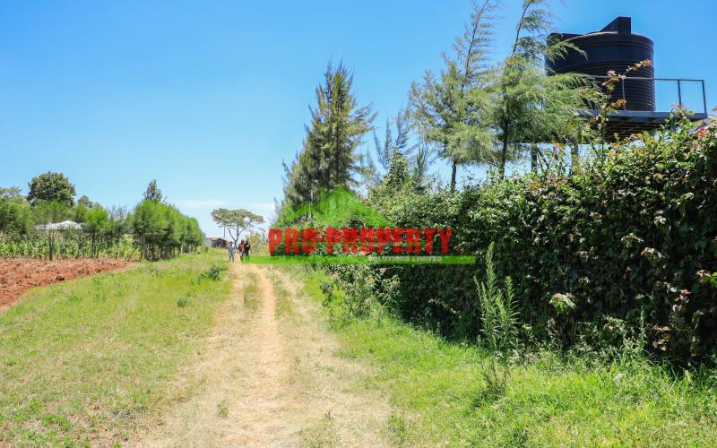 Explore 50 X 100 Ft  Prime Residential Plots For Sale In Kikuyu, Kamangu