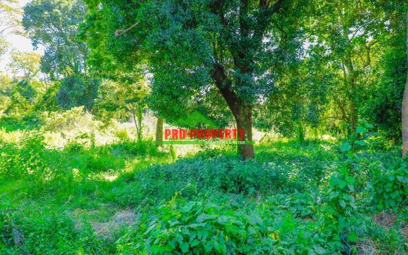 Prime 1/2 Acre Residential Plot For Sale In Kikuyu, Ondiri