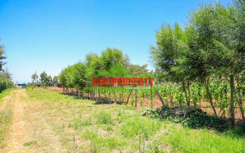 Explore 50 X 100 Ft  Prime Residential Plots For Sale In Kikuyu, Kamangu