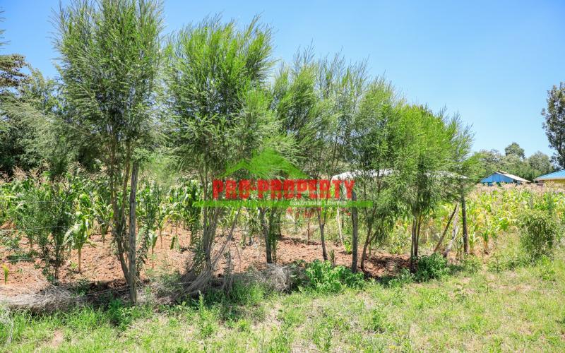 Explore 50 X 100 Ft  Prime Residential Plots For Sale In Kikuyu, Kamangu
