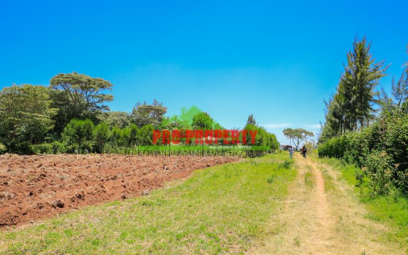Explore 50 x 100 ft  Prime Residential Plots for Sale in Kikuyu, Kamangu