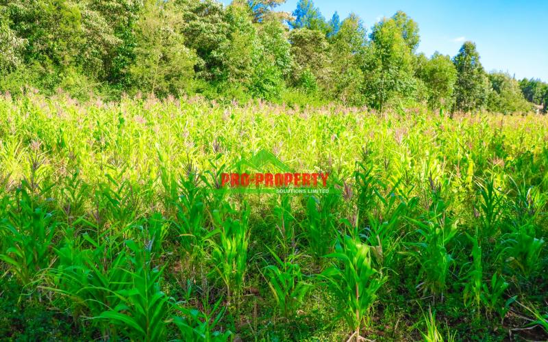 Prime 1/4 Acre Residential Plot for Sale in Ondiri, Kikuyu – Perfect for Your Dream Home!