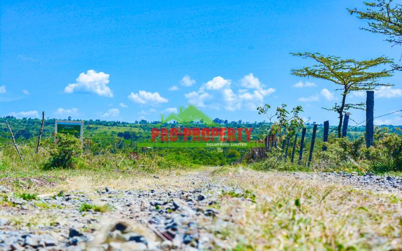 Affordable 50 By 100 Ft Residential Plots For Sale In Naromoru, Nanyuki