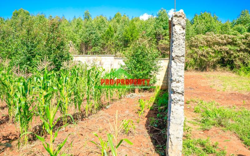 Prime 50 BY 100 FT Residential Plot for Sale in Kikuyu, Ondiri – Ideal for Your Dream Home