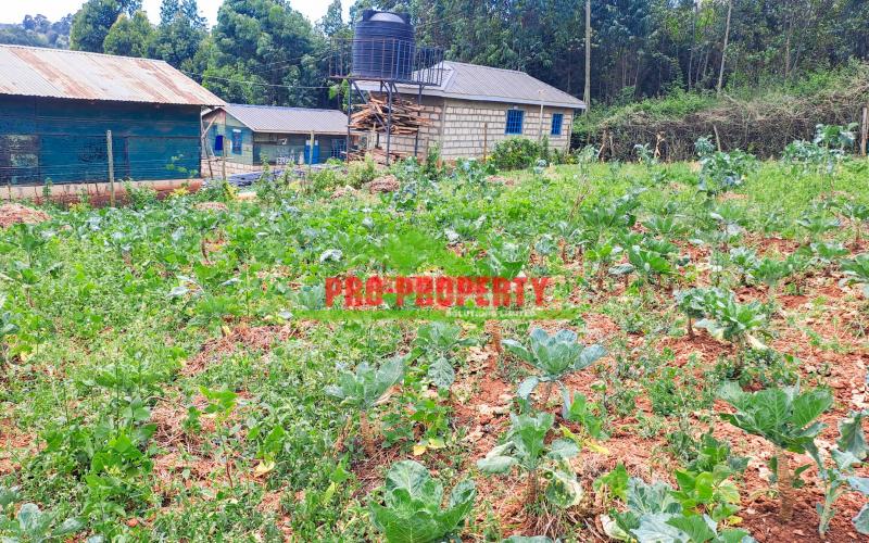 🏡 Serene 50 By 100 Ft Residential Plot For Sale In Karai, Kikuyu (migumoini Area) – Ideal For Your Future Home